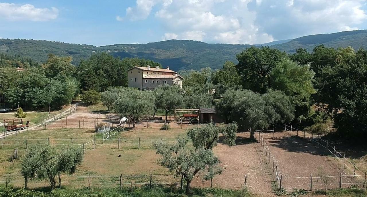 Il Rovero Castion Veronese Экстерьер фото